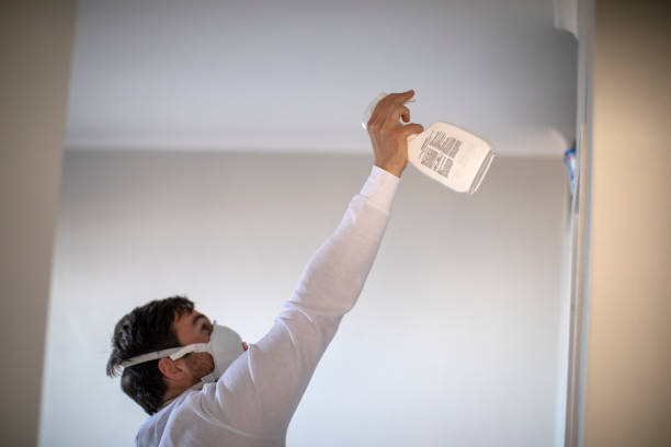 Best Mold Testing and Inspection Services in Quincy, WA